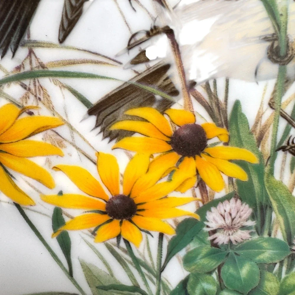 Roger Tory Peterson Bobolink Limoges Porcelain Plate 24kt Gold Trim 1981